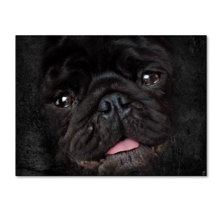 Jai Johnson 'Black Pug Portrait' Canvas Art,24x32